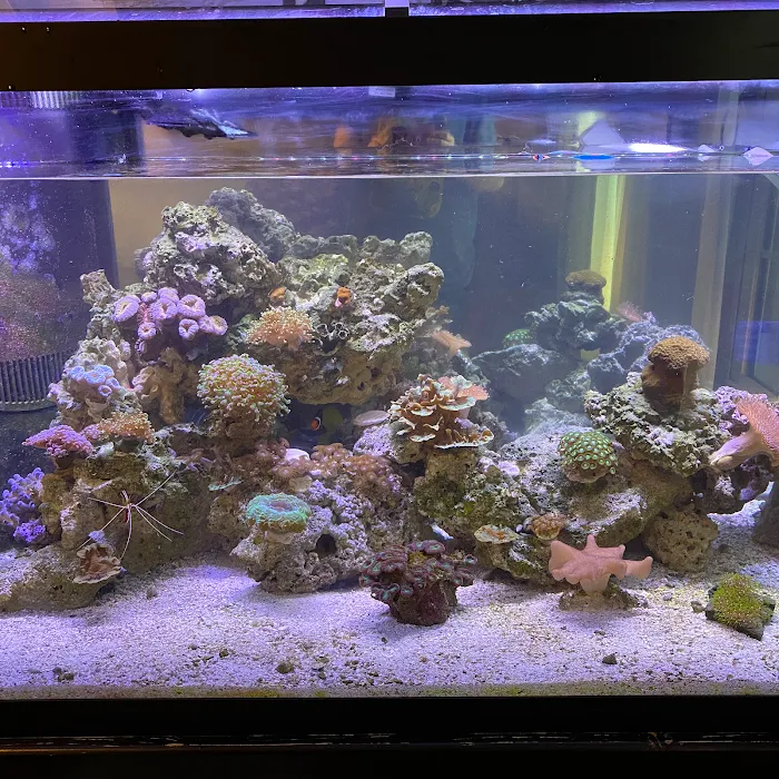Aquarium Xpress Picture 10
