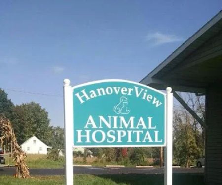 HanoverView Animal Hospital