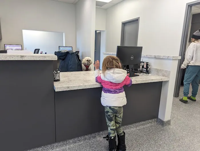 HanoverView Animal Hospital Picture 8