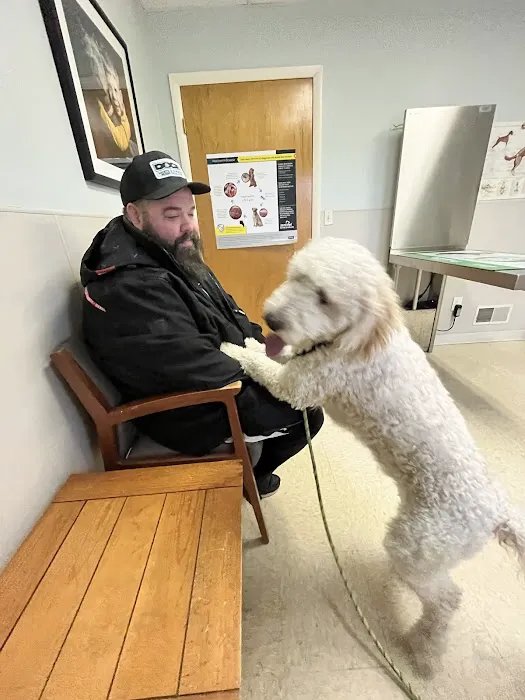 HanoverView Animal Hospital Picture 10
