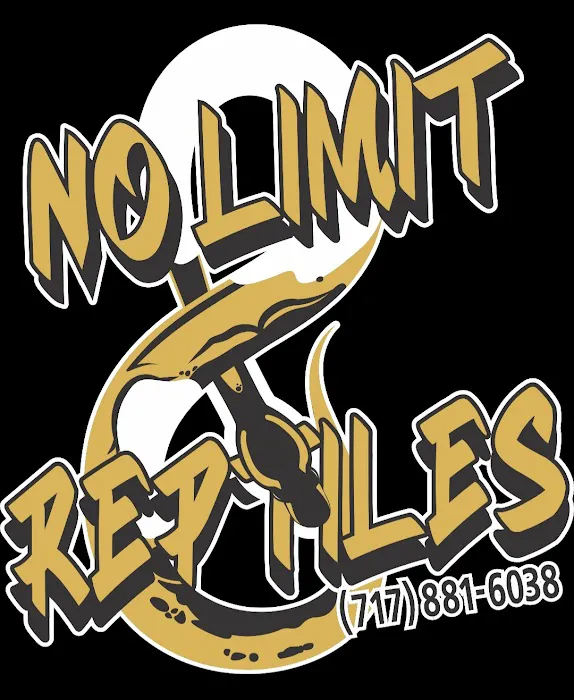 No limit reptiles Picture 7