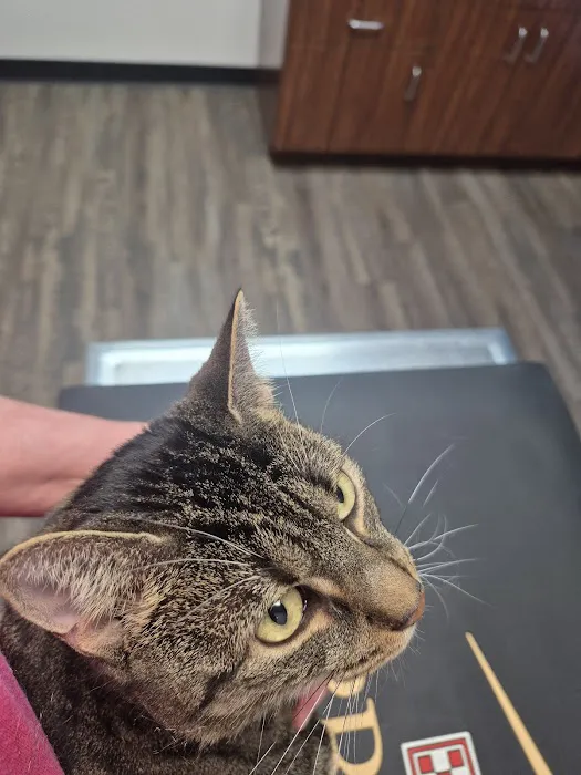 Pet Stat Animal Urgent Care Picture 7