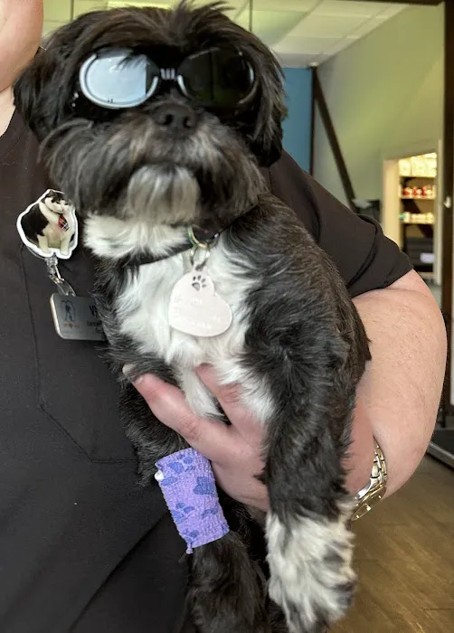 Pet Stat Animal Urgent Care Picture 9