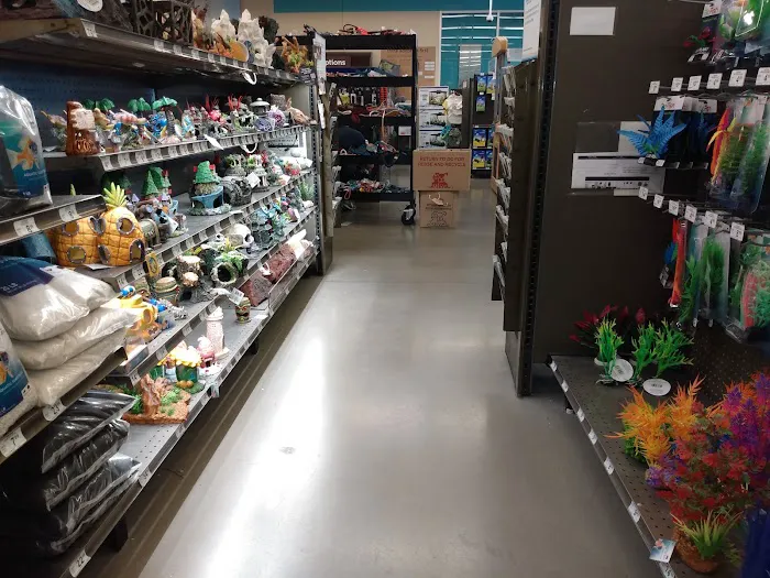 Petco Picture 2