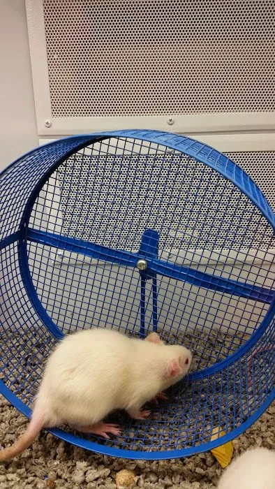 Petco Picture 4