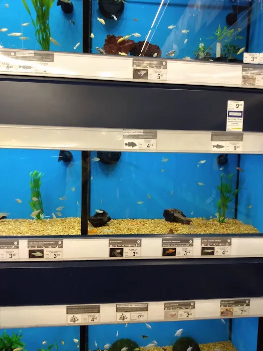 Petco Picture 6