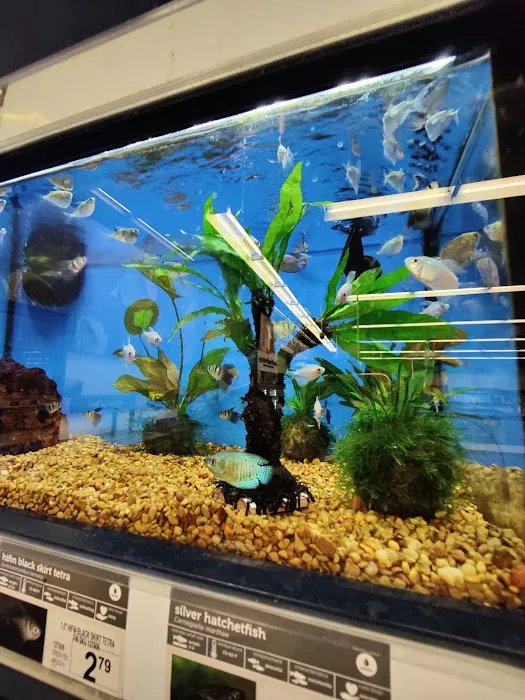 Petco Picture 3