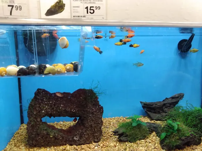 Petco Picture 9
