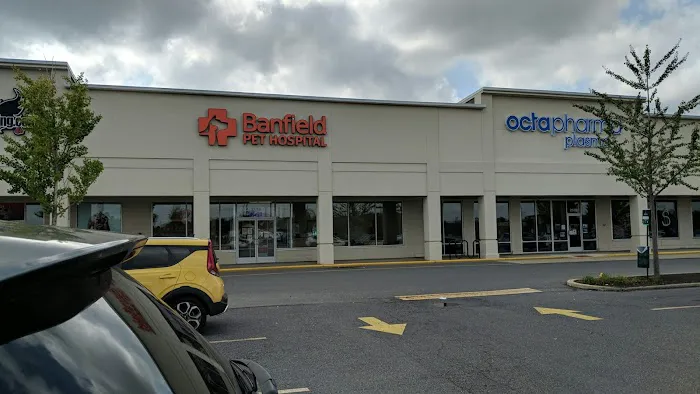 Banfield Pet Hospital Picture 1