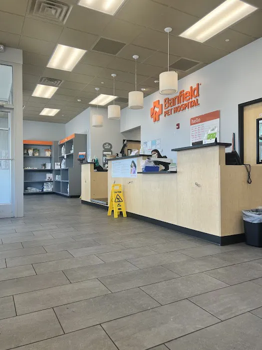 Banfield Pet Hospital Picture 3