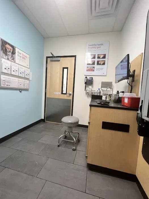 Banfield Pet Hospital Picture 5