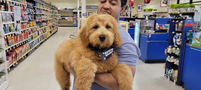 Banfield Pet Hospital Picture 6