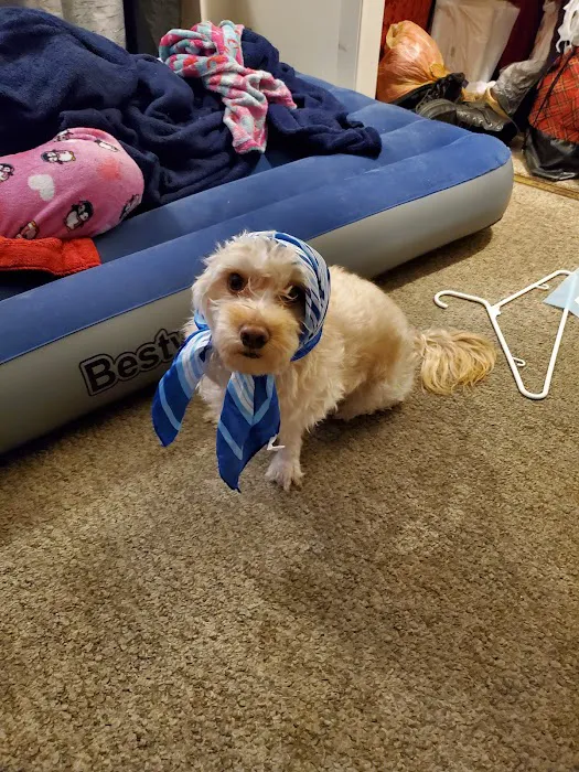 Banfield Pet Hospital Picture 9