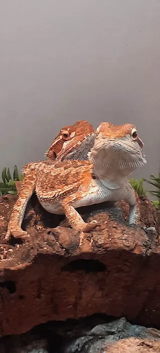 Just For Pets Picture 4