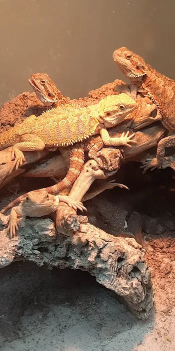 Just For Pets Picture 5