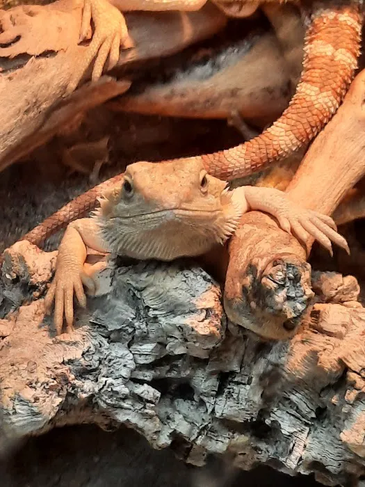 Just For Pets Picture 7
