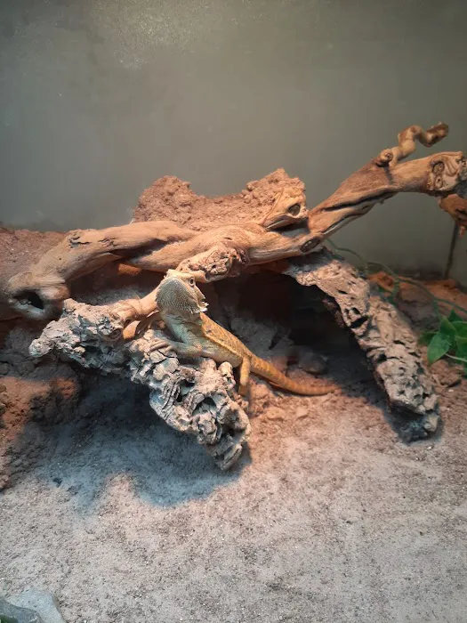 Just For Pets Picture 10