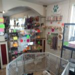 Vinnie's Bow Wow Shoppe