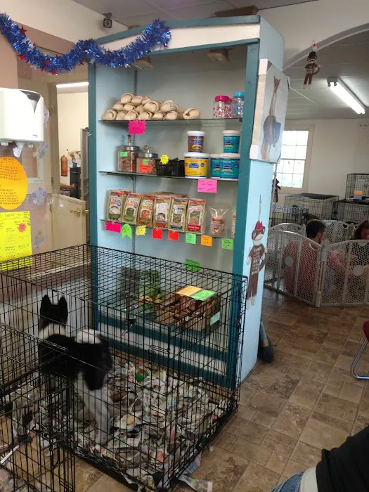 Vinnie's Bow Wow Shoppe Picture 4