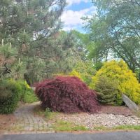 Pet Allergy & Dermatology Specialists (Lehigh Valley Vet Dermatology) ico