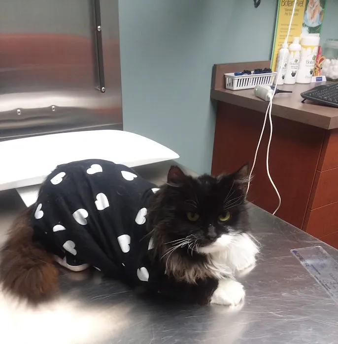 Pet Allergy & Dermatology Specialists (Lehigh Valley Vet Dermatology) Picture 7