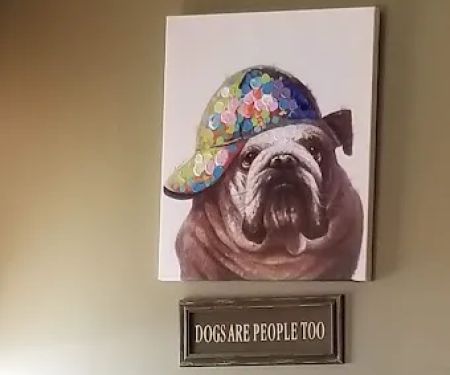 Glamorous Pooch