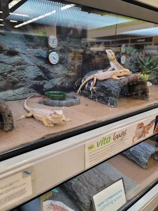 Petco Picture 2