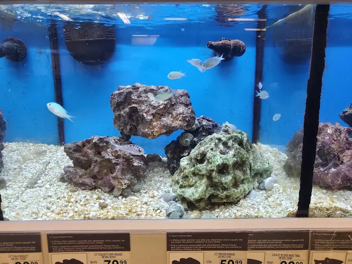 Petco Picture 5