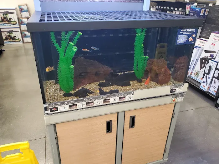 Petco Picture 9