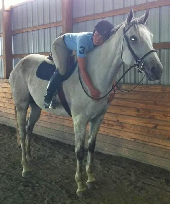 All Points Equine Picture 6