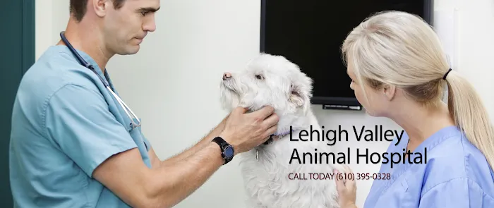 Lehigh Valley Animal Hospital Picture 3