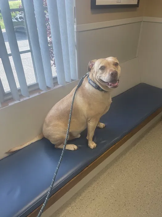 Lehigh Valley Animal Hospital Picture 4