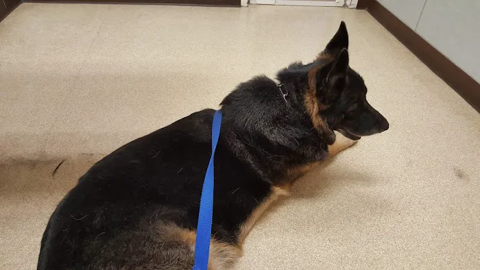 Lehigh Valley Animal Hospital Picture 1