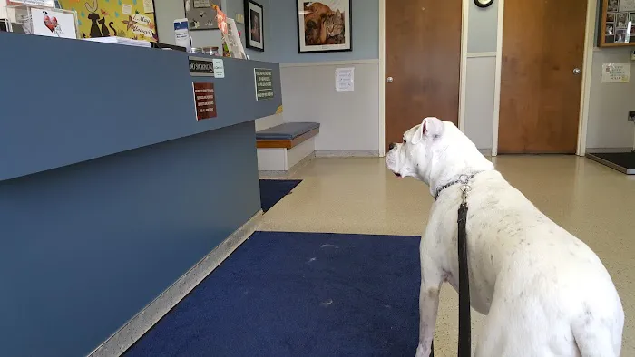 Lehigh Valley Animal Hospital Picture 8