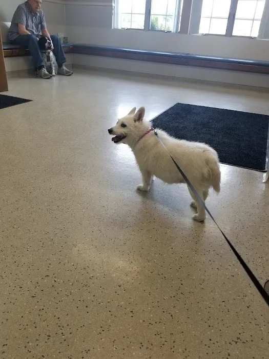 Lehigh Valley Animal Hospital Picture 9