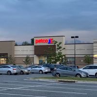 Petco ico
