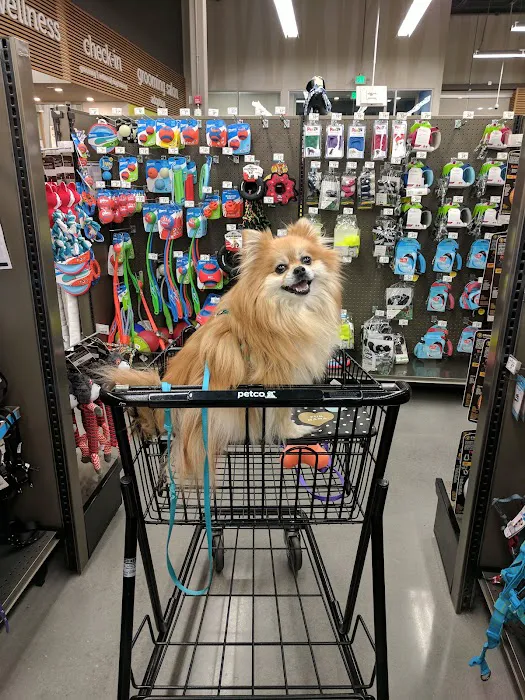 Petco Picture 5
