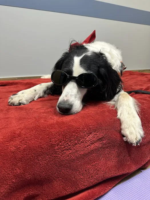 Eastern Pennsylvania Veterinary Medical Center Picture 5