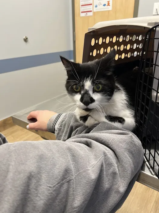Eastern Pennsylvania Veterinary Medical Center Picture 8