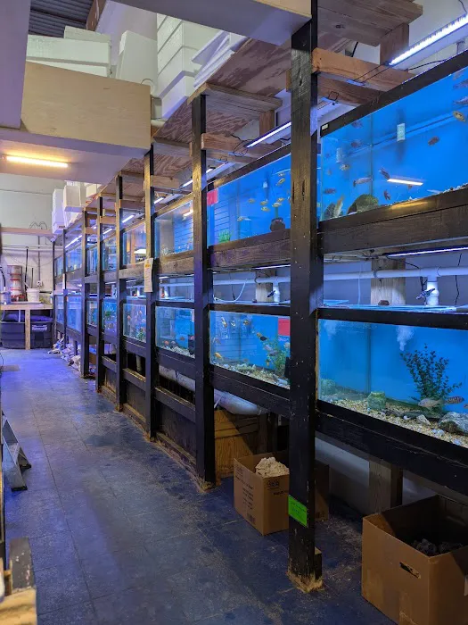 CTE Aquatics Picture 3