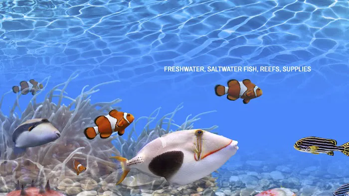 CTE Aquatics Picture 6