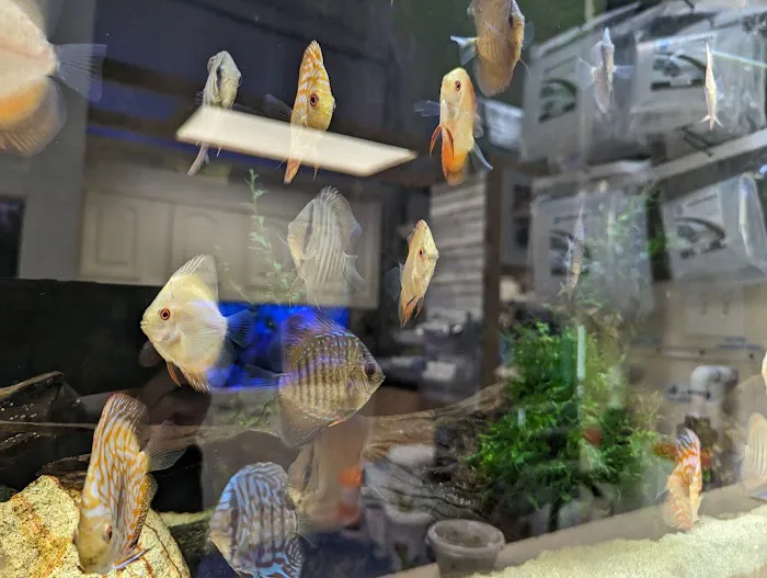CTE Aquatics Picture 5