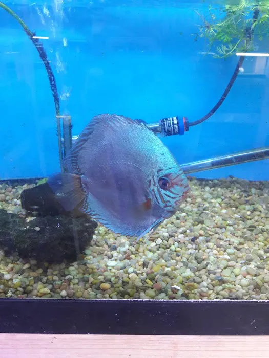 CTE Aquatics Picture 10