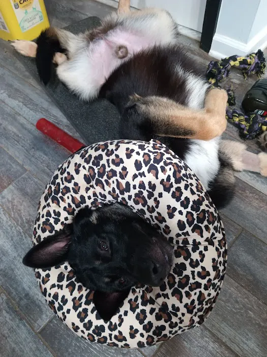 West Valley Animal Hospital Picture 1