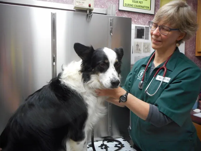 West Valley Animal Hospital Picture 5