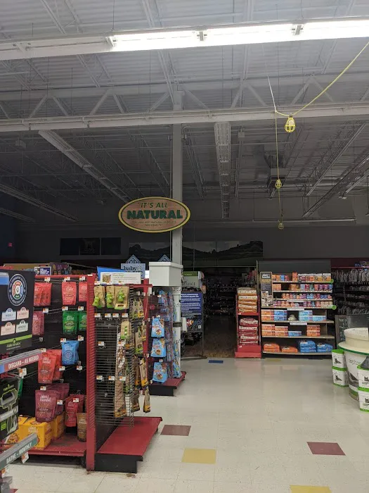 Petco Picture 3