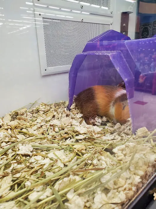Petco Picture 6
