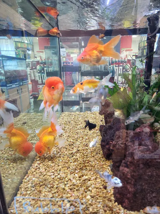 Petco Picture 10