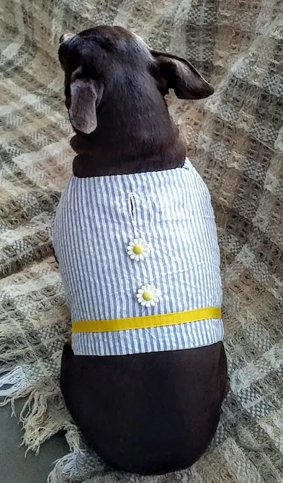 my best in show Picture 4