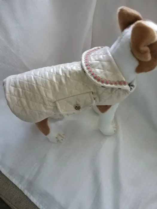 my best in show Picture 3
